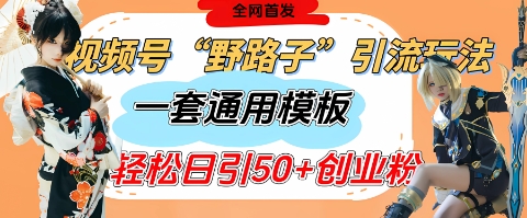 视频号“野路子”玩法，评论区疯狂截流，一套模板单日单号引流50+创业粉-南风轻创