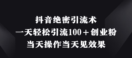抖音绝密引流术，一天轻松引流100+创业粉，当天操作当天见效果-南风轻创