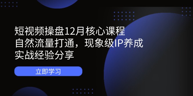 短视频操盘12月核心课程：自然流量打通，现象级IP养成，实战经验分享-南风轻创