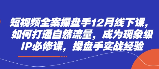 短视频全案操盘手12月线下课，如何打通自然流量，成为现象级IP必修课，操盘手实战经验-南风轻创