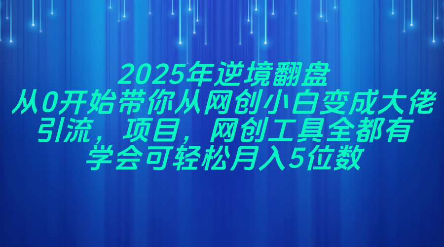 2025年逆境翻盘，从0开始带你从网创小白变成大佬，引流，项目，网创工…-南风轻创