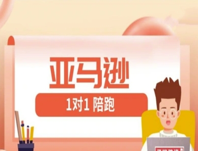 亚马逊1对1陪跑课(FBA/FBM精铺)跨境亚马逊教程-南风轻创