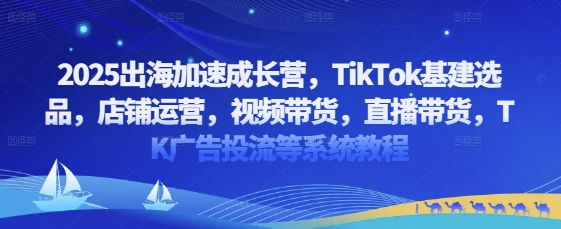 2025出海加速成长营，TikTok基建选品，店铺运营，视频带货，直播带货，TK广告投流等系统教程-南风轻创