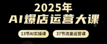 2025年AI爆店运营大课，13节AI实操课+37节流量运营课-南风轻创