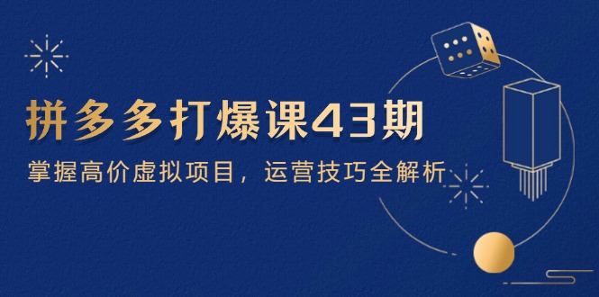 拼多多打爆课第 43 期，掌握高价虚拟项目，运营技巧全解析(15节-南风轻创
