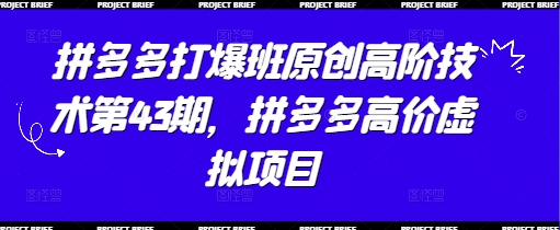 拼多多打爆班原创高阶技术第43期，拼多多高价虚拟项目-南风轻创