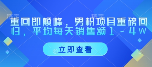 重回即颠峰，男粉项目重磅回归，平均每天销售额1-4W-南风轻创